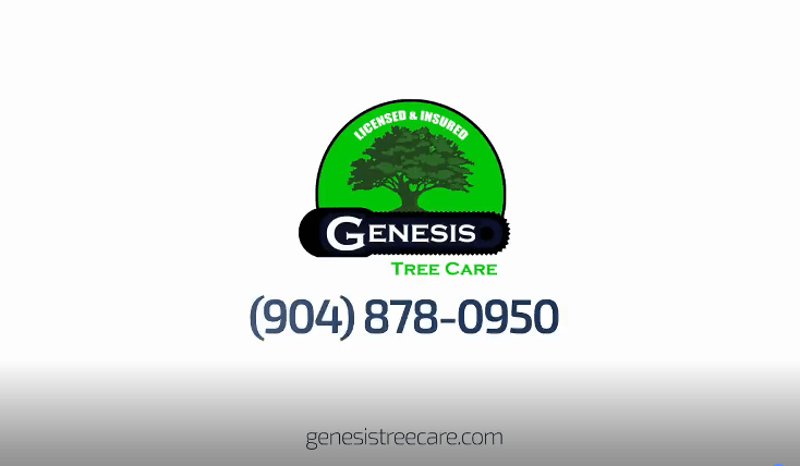 Genesis Tree Service - Hogar De Ancianos en Houston